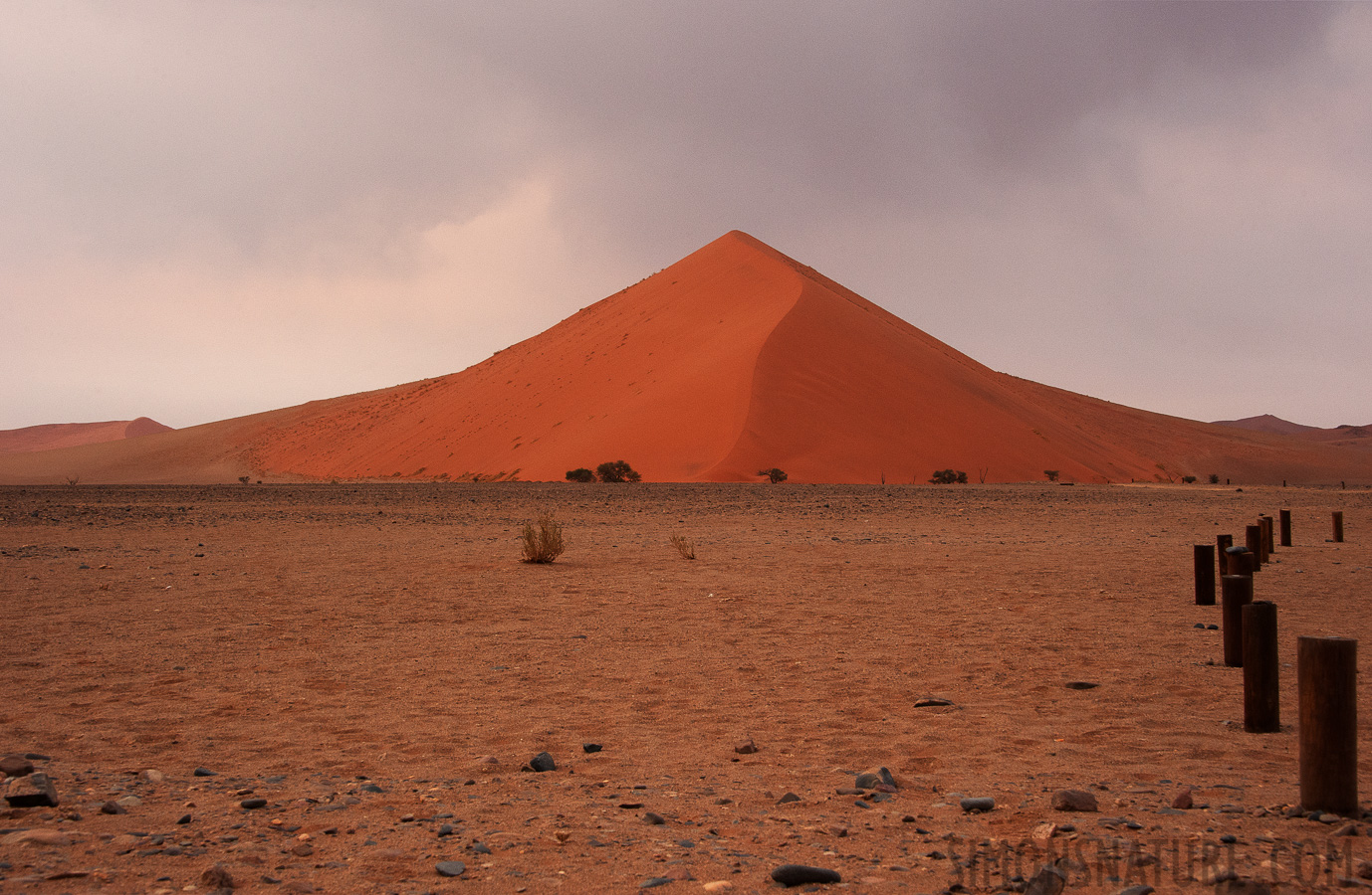 Namib-Naukluft National Park [48 mm, 1/80 sec at f / 14, ISO 1250]